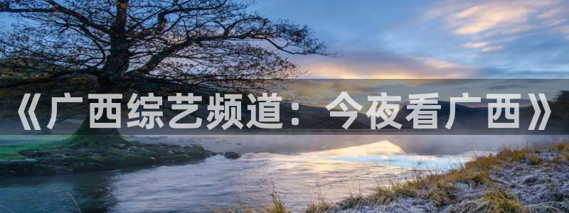 直播吧篮球比赛：《广西综艺频道：今夜看广西》