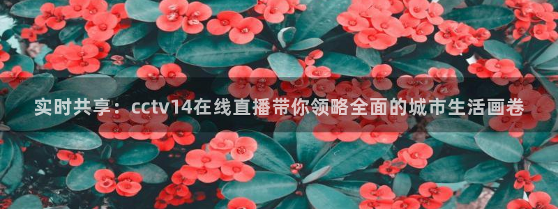 nba直播吧,：实时共享：cctv14在线直播带你领略全面的城市生活画卷