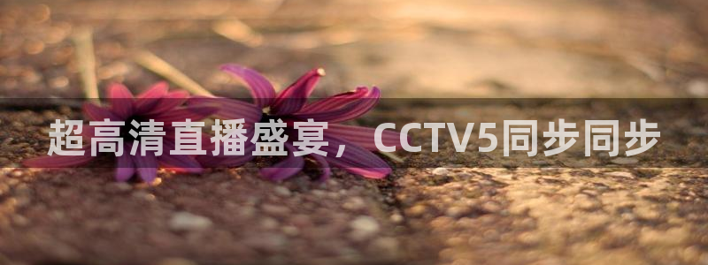 98直播吧篮球：超高清直播盛宴，CCTV5同步同步