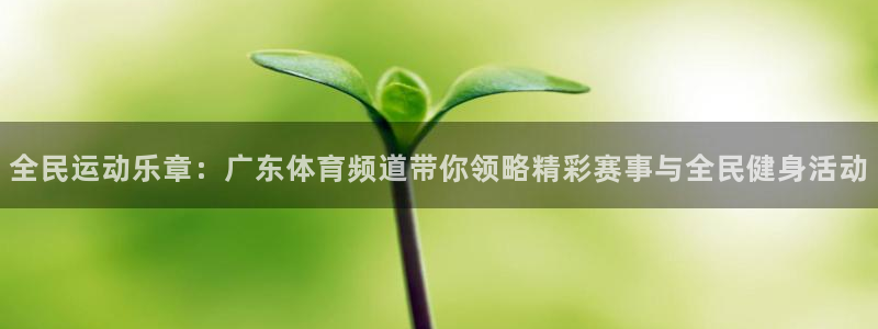 足球直播在线直播观看免费直播吧新：全民运动乐章：广东体育频道带你领略精彩赛事与全民健身活动