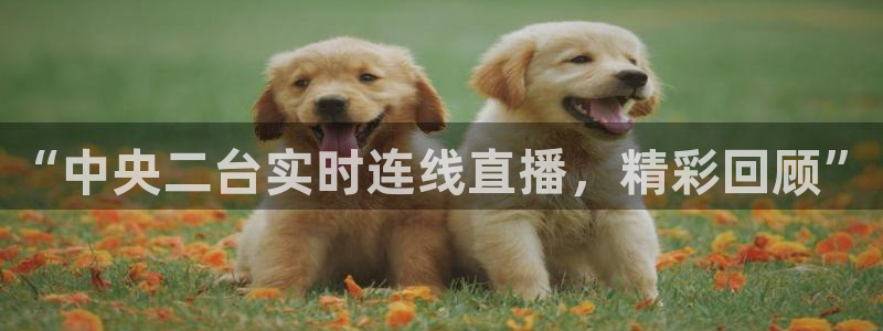 98直播吧篮球：“中央二台实时连线直播，精彩回顾”