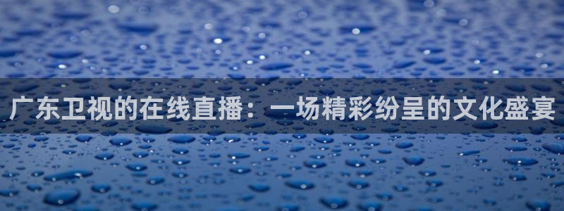 懂球直播吧：广东卫视的在线直播：一场精彩纷呈的文化盛宴