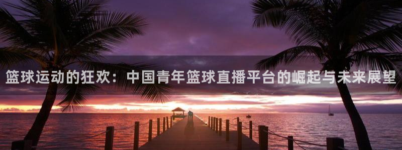直播吧极速体育吧：篮球运动的狂欢：中国青年篮球直播平台的崛起与未来展望