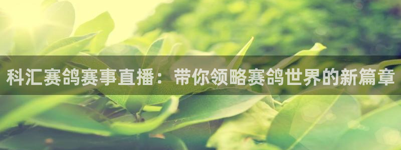 体育直播吧nba在线直播：科汇赛鸽赛事直播：带你领略赛鸽世界的新篇章