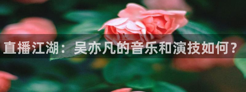 55直播吧体育：直播江湖：吴亦凡的音乐和演技如何？