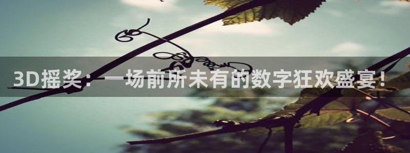 飞速nba直播吧：3D摇奖：一场前所未有的数字狂欢盛宴！