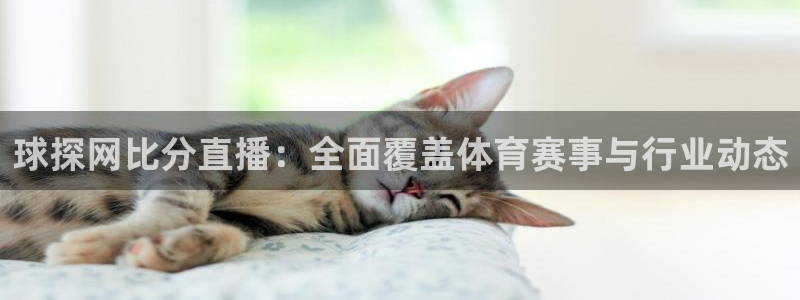 nba直播吧jrs免费观看直播：球探网比分直播：全面覆盖体育赛事与行业动态