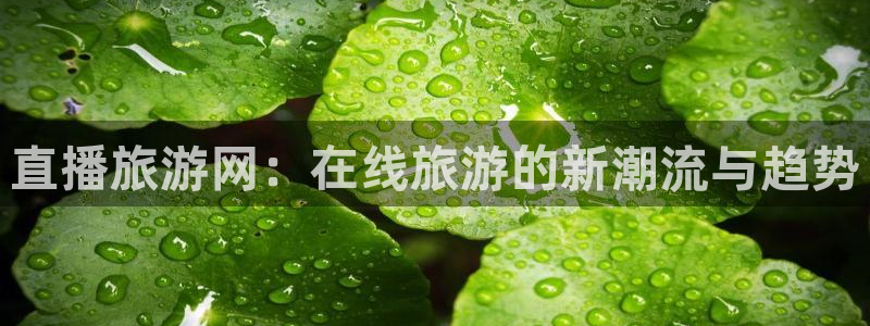 nba极速体育直播吧体育直播jrs：直播旅游网：在线旅游的新潮流与趋势