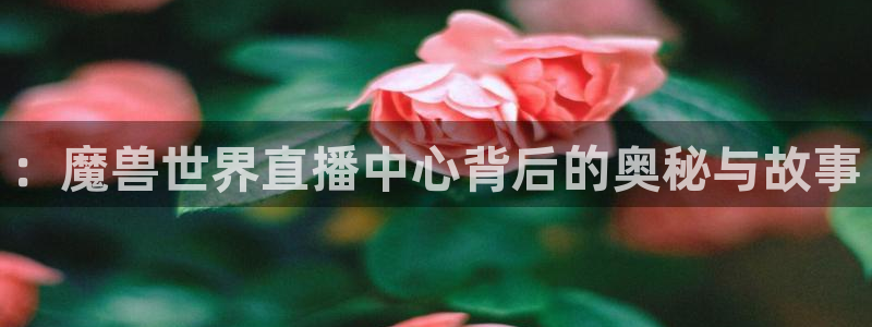 智能直播吧jrs直播：：魔兽世界直播中心背后的奥秘与故事